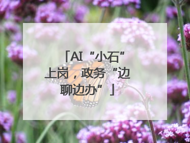 AI“小石”上岗，政务“边聊边办”