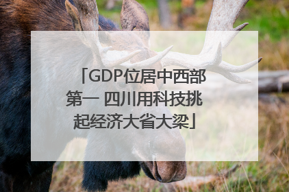 GDP位居中西部第一 四川用科技挑起经济大省大梁